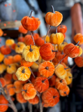 30" Velvet Pumpkin Spray - Orange Mix
