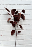 31" Velvet Eucalyptus Spray - Brown