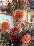 29" Banksia Spray - Rust