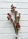 23.5"  Waxflower Spray - Berry