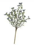 15" Blueberry Pick