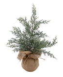 18" Cedar + Eucalyptus Tree