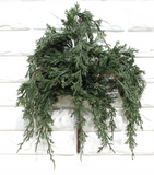 17.5" Dark Green Juniper Pick