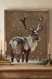 16x20 Brown Reindeer Portrait