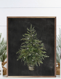 8x10 Christmas Tree Black
