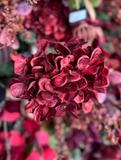 16" Hydrangea Pick - Burgundy Red