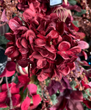 16" Hydrangea Pick - Burgundy Red