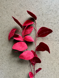 31" Velvet Eucalyptus Leaf Spray - Deep Red